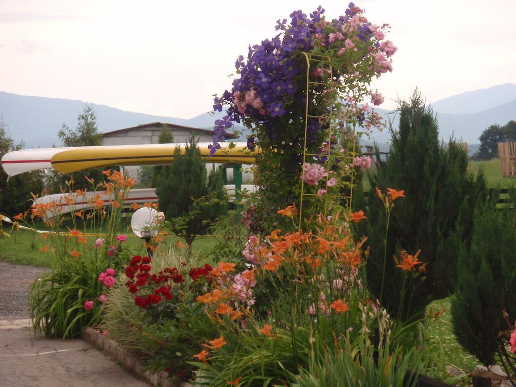 Bed And Breakfast Albatros Perusic Exterior photo